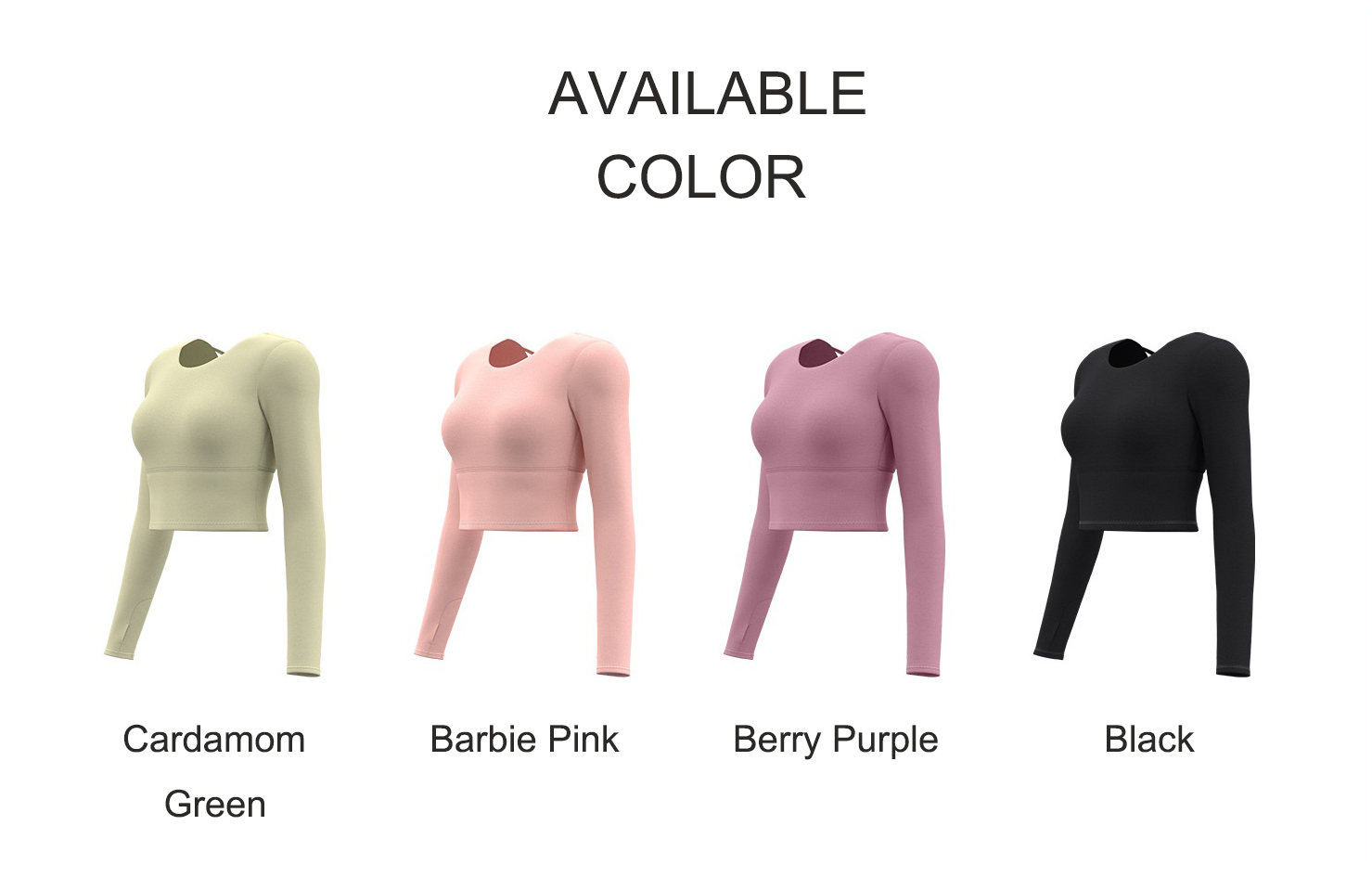Color.jpg