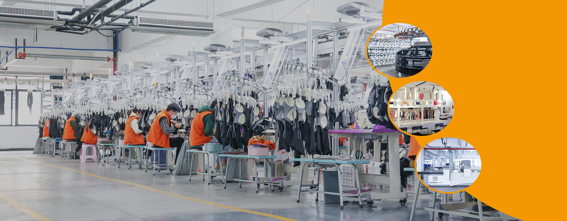 12 Years of Export Experience